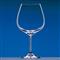 Burgundy Red  wine glass 勃艮第红酒杯