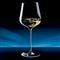 White wine glass 白葡萄酒杯